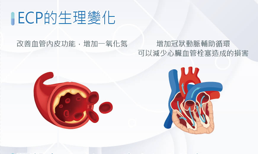 圖示說明血液循環改善後，身體代謝、精神與睡眠品質都獲得提升。